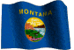 Montana  State Flag
