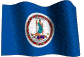 Virginia  State Flag